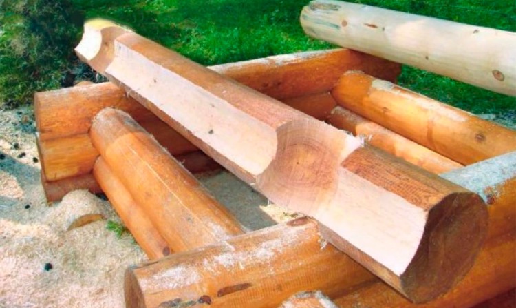 Биозащита для дерева