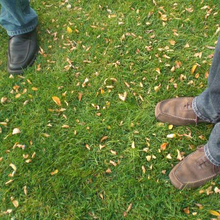 Газонная решетка защита от вытаптывания