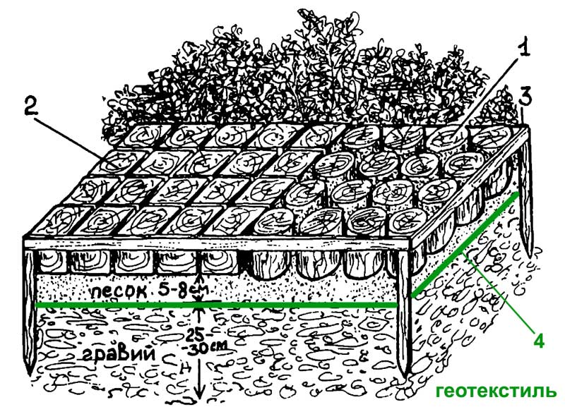 Брусчатка с приенением геотекстиля