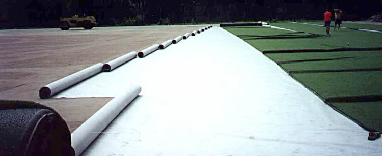 Дорнит применение и функции